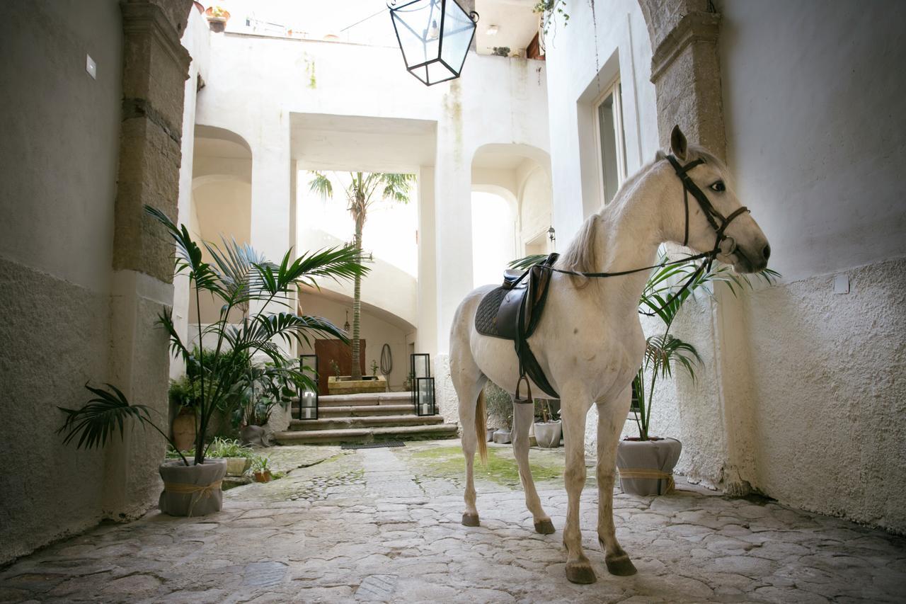 Apartmán Il Marchese Del Grillo Tropea Exteriér fotografie